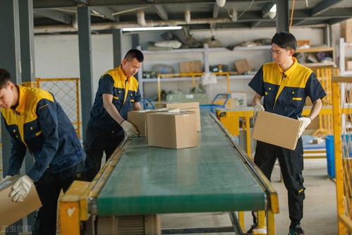 馬云預(yù)言 后疫情時代，家政服務(wù)或成新財富風口